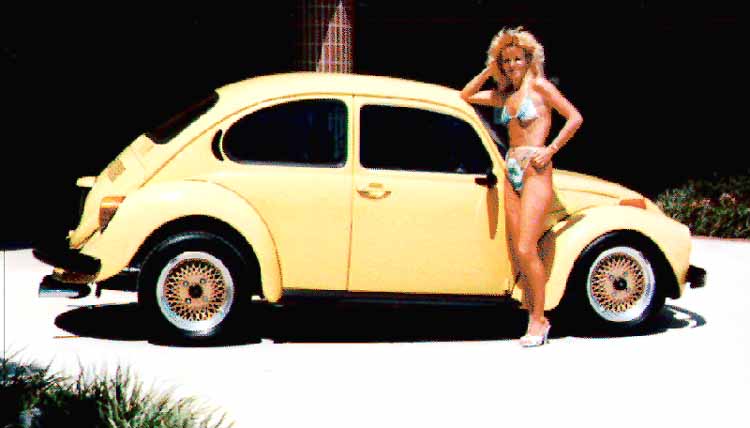 73 VW Beetle