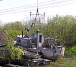 Boat Ashore