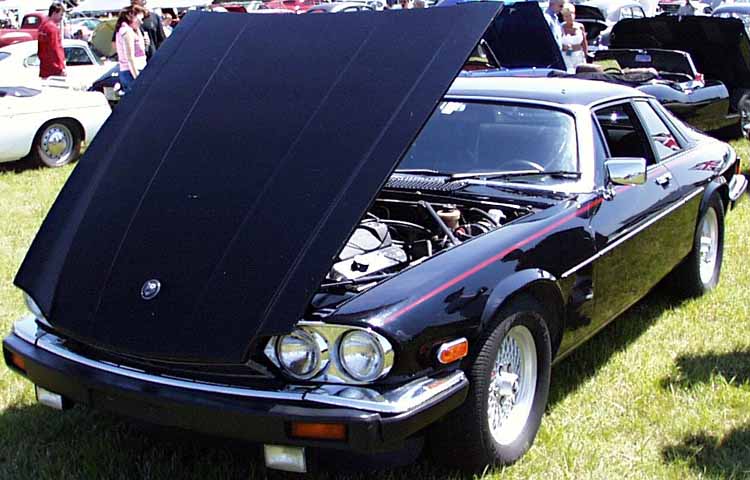 80 Jaguar XJS Coupe