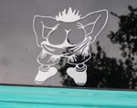 55 Chevy Sedan Delivery Decal