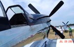 North American P-51D Mustang Quick Silver Detail