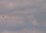 07 EAA Oshkosh Warbird Flyover