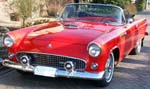 55 Thunderbird Roadster