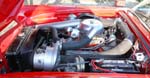 55 Thunderbird Roadster